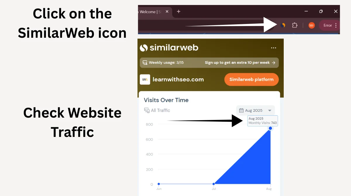Website traffic analytics dashboard view
