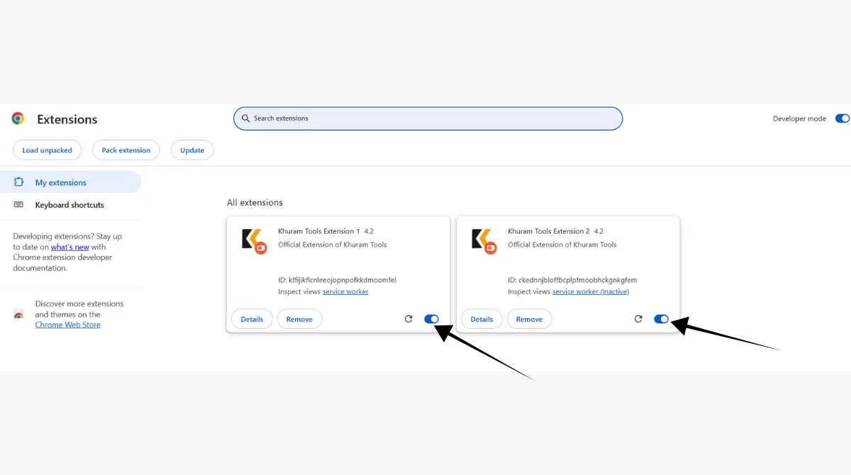 Chrome Extensions page