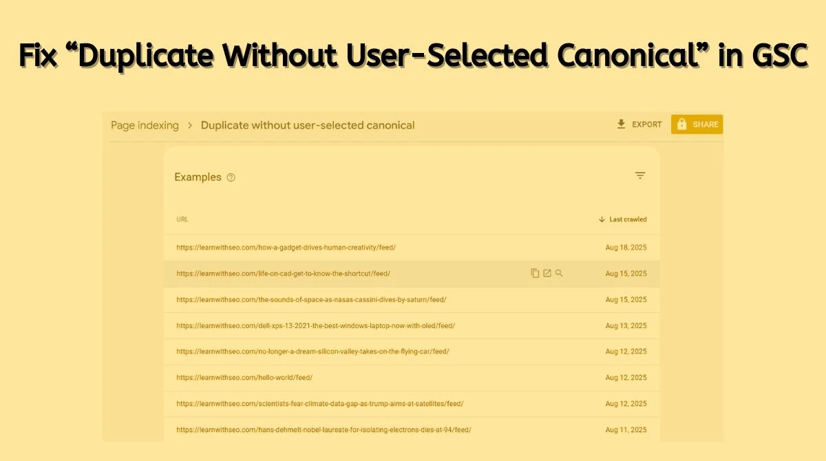 Duplicate Without User-Selected Canonica in GSC
