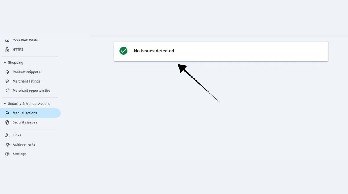 Manual actions no issues detected