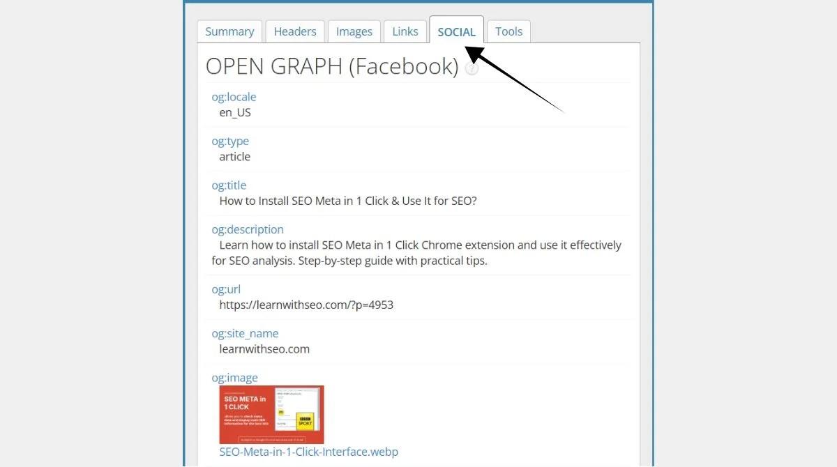 Social Media Tags