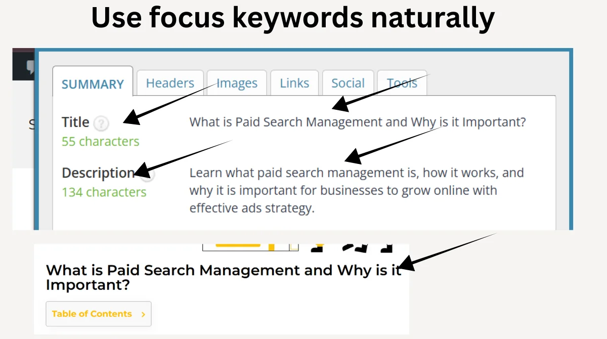 Screenshot of using focus keywords.