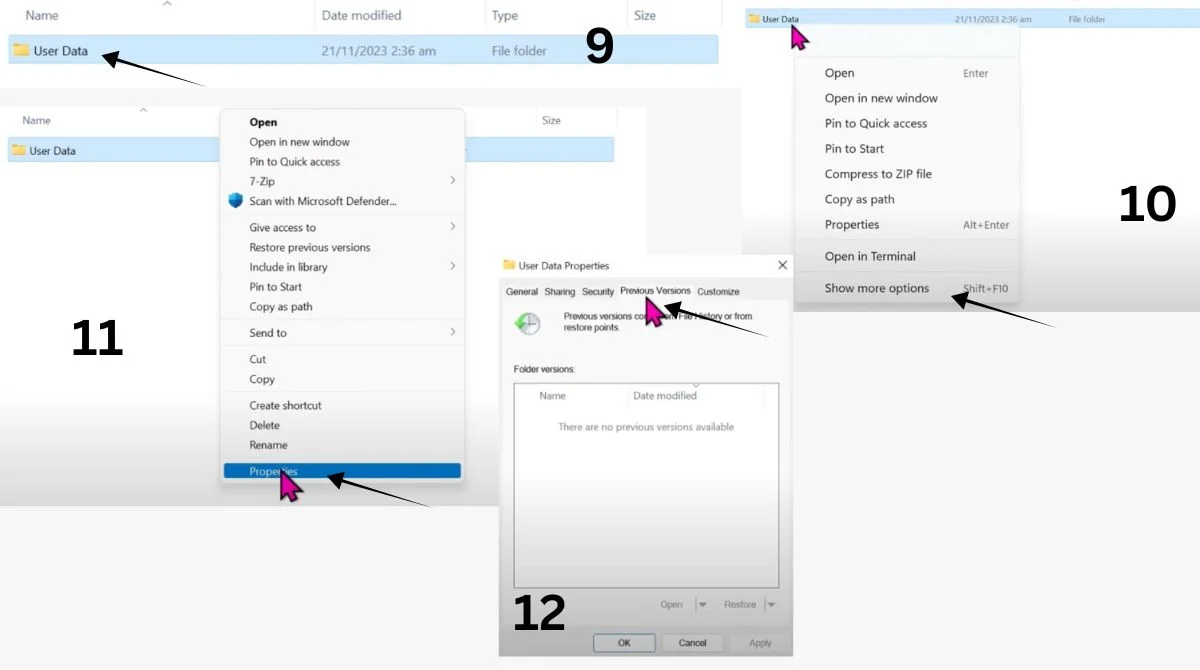 User Data folder properties with Previous Versions tab