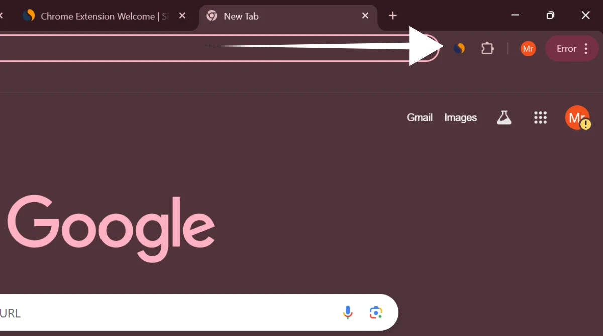 Chrome extension installation in progress