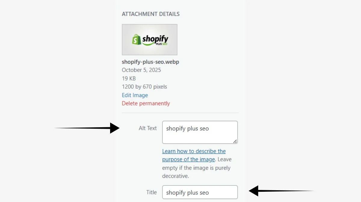 Image alt text and title fields