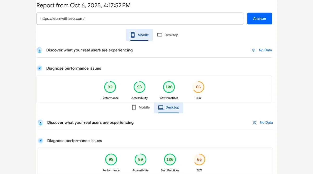 Google PageSpeed Insights Report